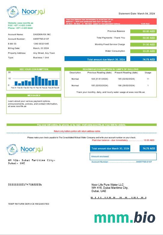 Szablon rachunku za media biznesowe ZEA Noor Life Pure Water LLC w formatach Word i PDF